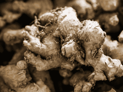 galangal