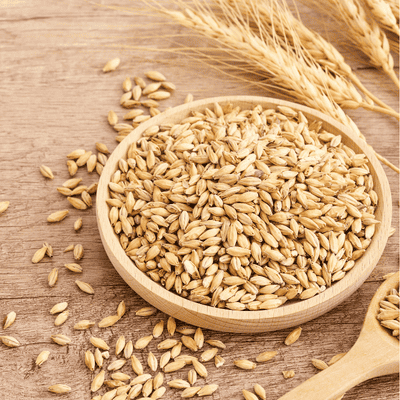 barley